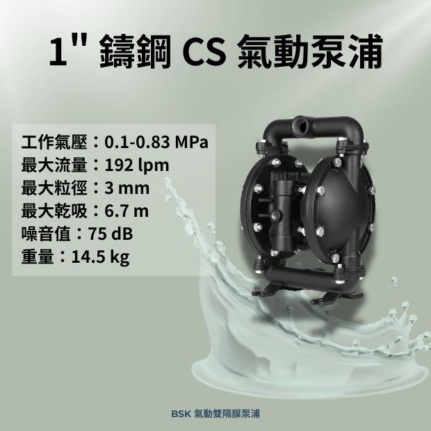 BSK 1 英吋鑄鋼材質氣動雙隔膜泵浦