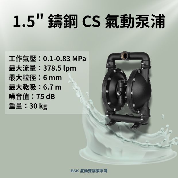 BSK 1.5 英吋鑄鋼材質氣動雙隔膜泵浦