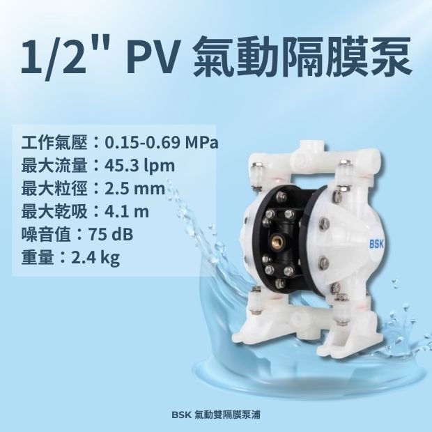 1_2 PVDF 鐵氟龍 材質雙隔膜泵.jpg